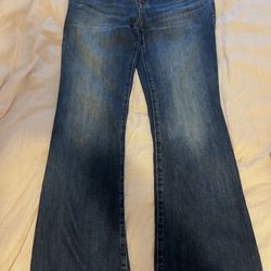 Pacsun Jade Low Rise Flared Jeans Size 26
