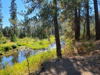 4.6 acreas on the San Poil river