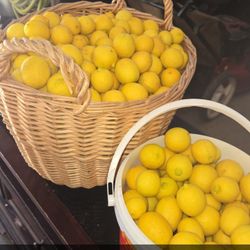 Organic Baby Lemons 