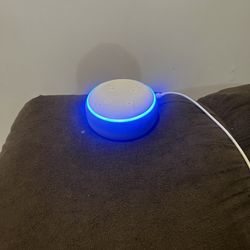 Amazon Echo Speakers