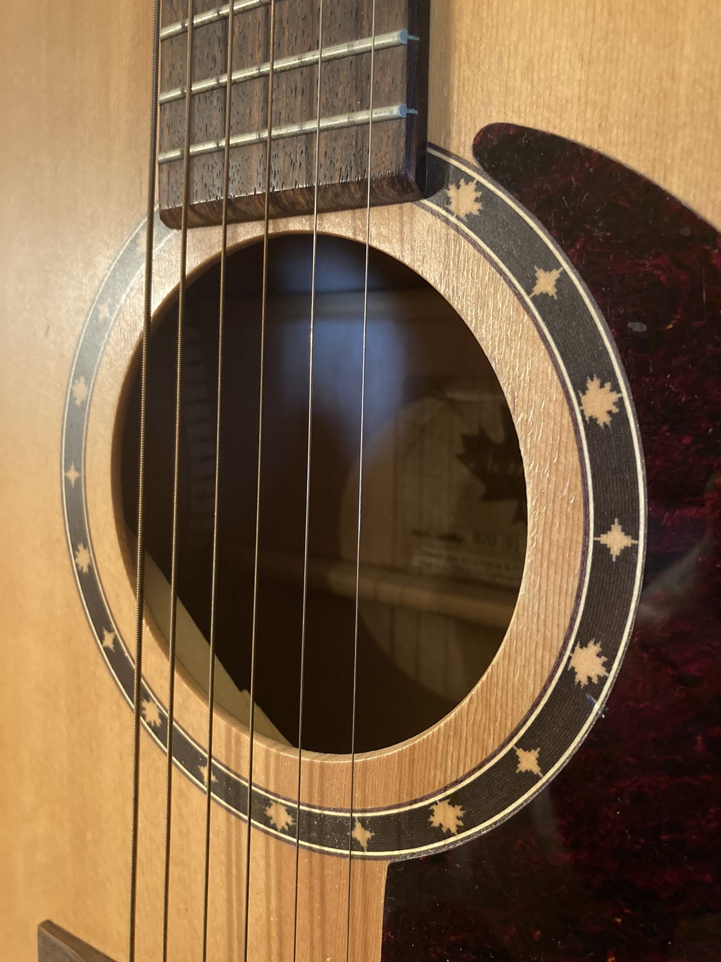 Norman B20 Acoustic Guitar