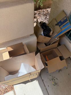 Free boxes.  Come pick up