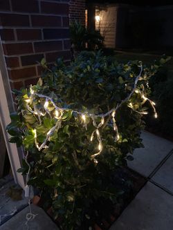 Xmas Lights