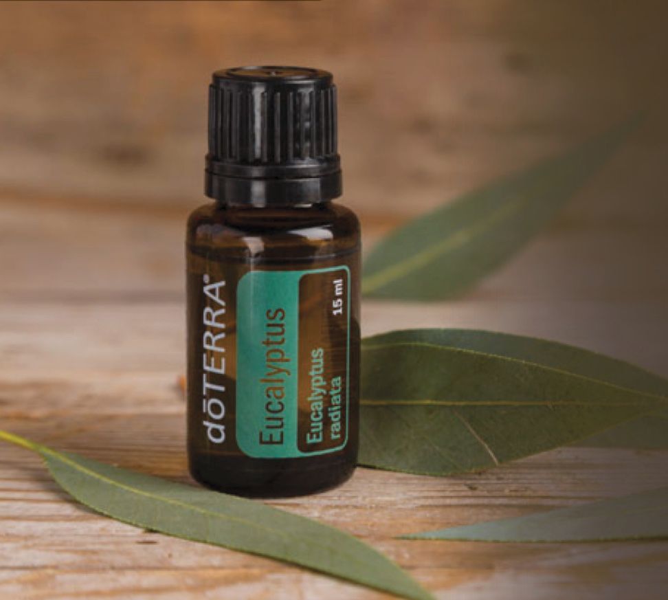 doTERRA Eucalyptus essential oil