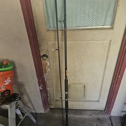 Diawa Beefstick 10ft Rod
