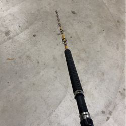 Kite Fishing Rod 