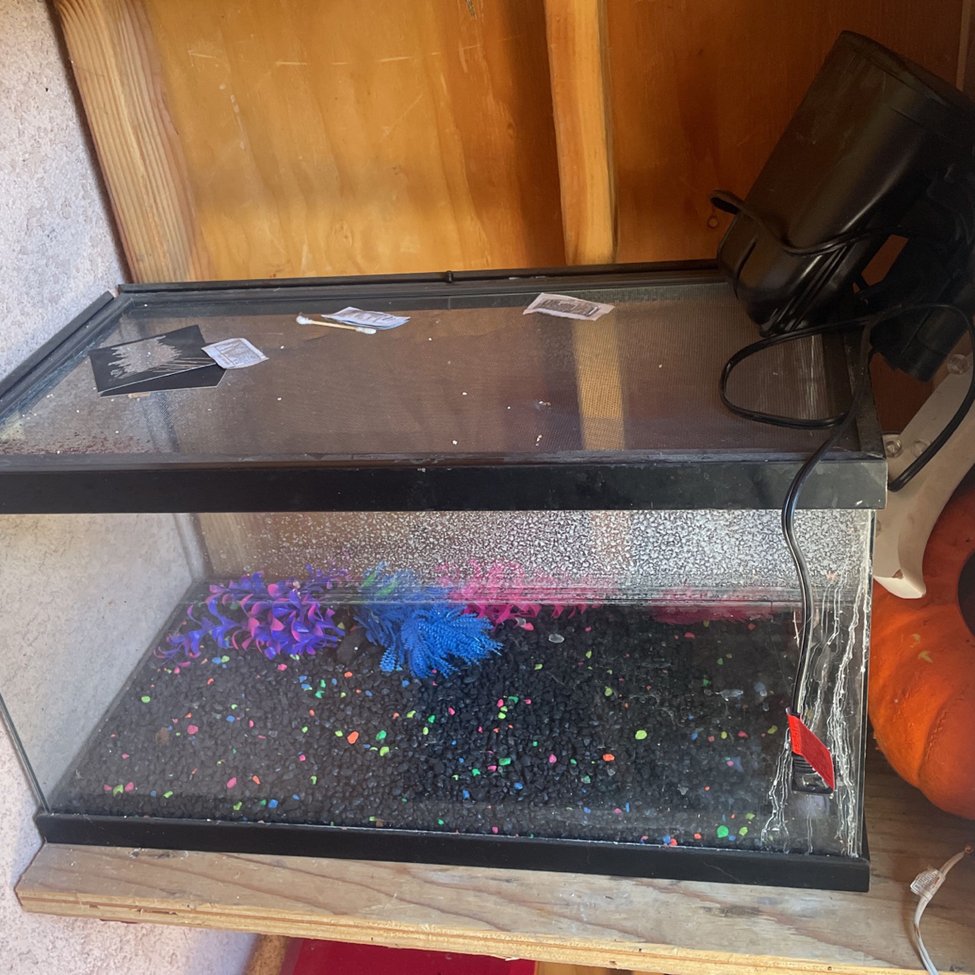 Fish Tank And Water Filter 