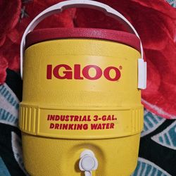 Igloo