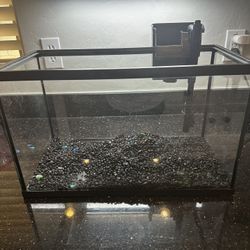 Complete 10 gallon aquarium setup for $75