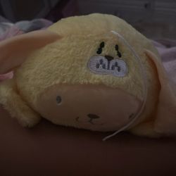 Pompompurin Seal Plushy unused
