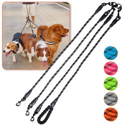 3 WAY DOG LEASH 