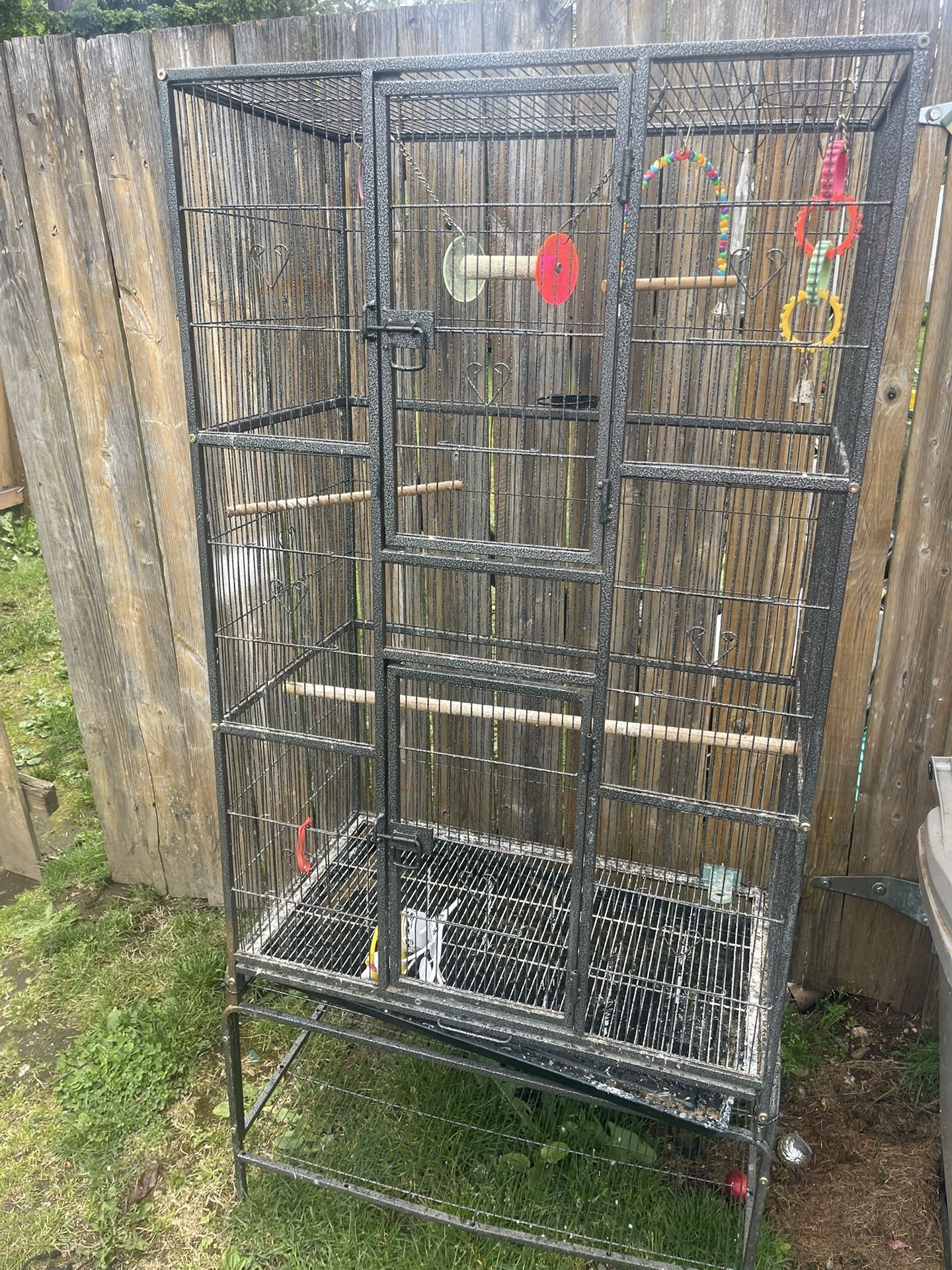 Bird Cage