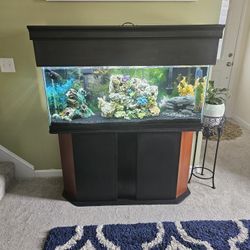 55 Gallon Freshwater Fishtank