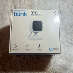 Blink Mini Wrapped