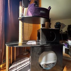 Cat tree with litter box endorsment