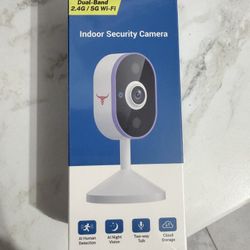 Indoor Security Cameras