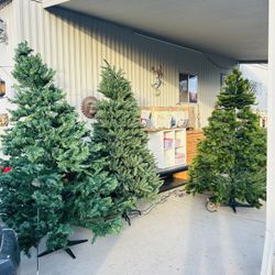 Crismas Tree 60 Each