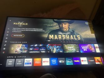Vizio Tv 32in