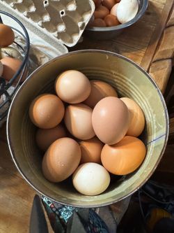 Egg