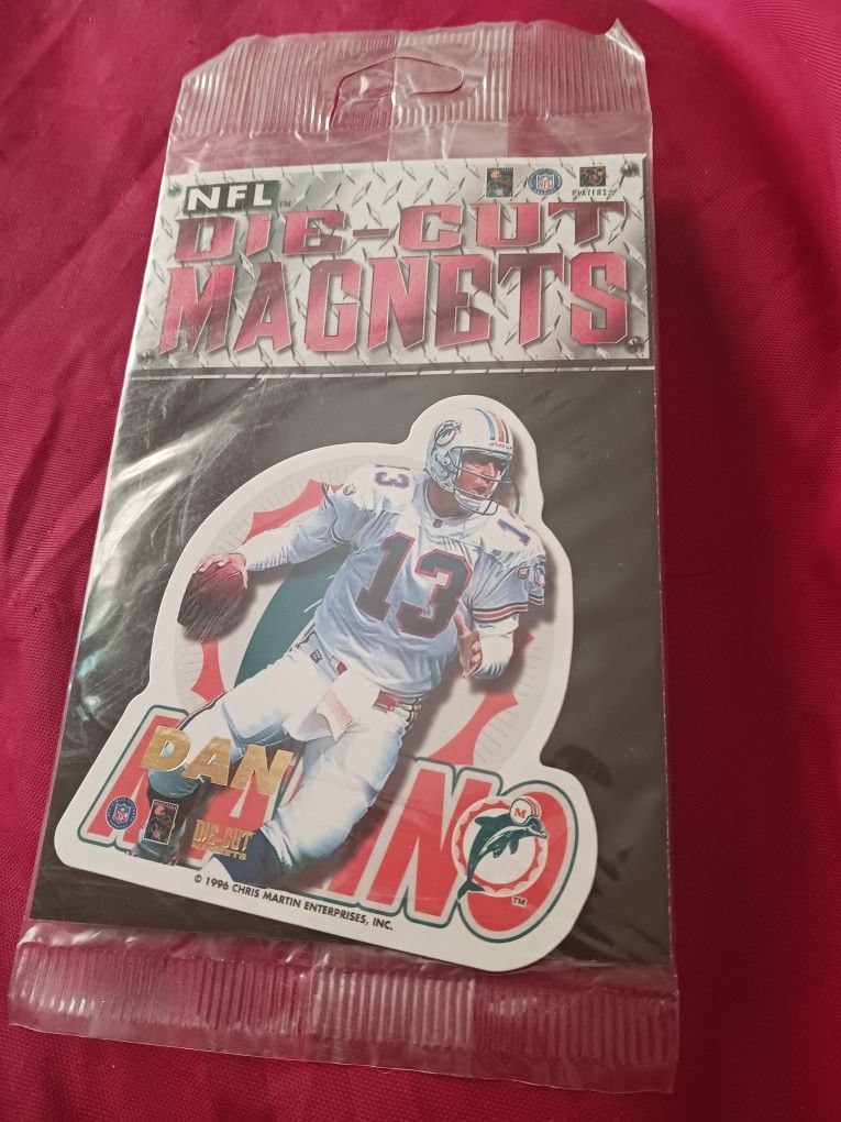 Pair of NFL Magnets