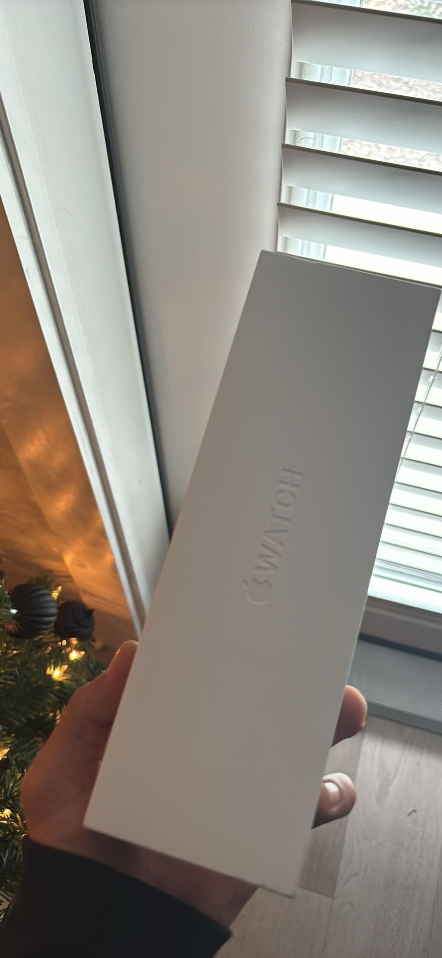 Apple Watch