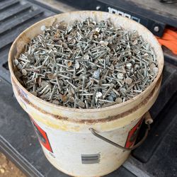 Roofing Nail 