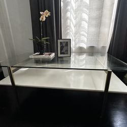 West Elm Art Display Coffee Table