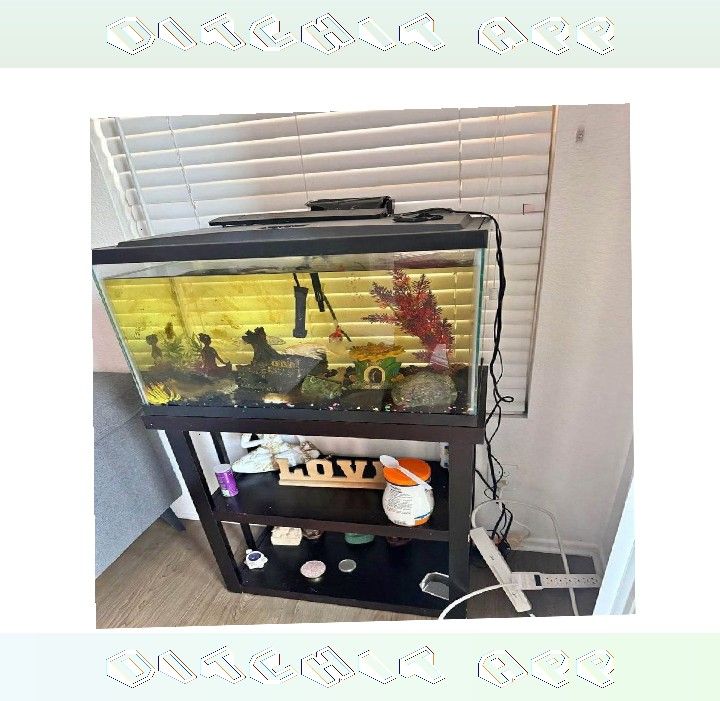 All-Set Aquarium Package - Discover Water World Magic dark road