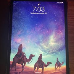 iPad Pro 11 Inch 256 Gb WiFi Gray