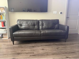 Dark Brown Couch