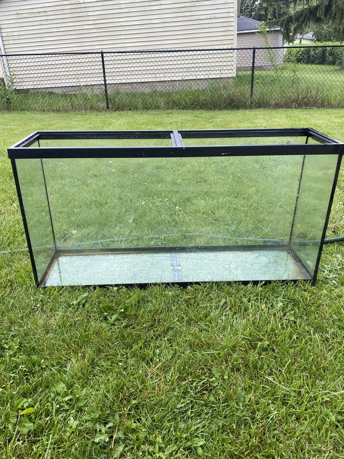 60 Gallon Fish Tank