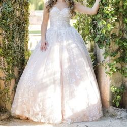 Quinceanera / Sweet 16 Dress 