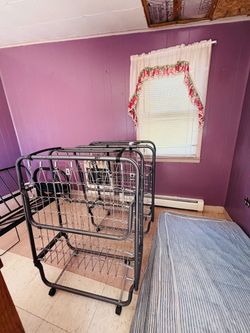 To fold up & store beds 75.00 each