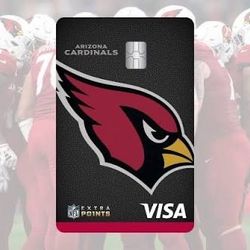 CARDINALS v FALCONS TIX. SEC 115 Row20