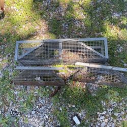 Animal Traps