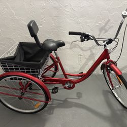 Adult Tricycle  