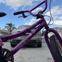 Purple Bike Girls 
