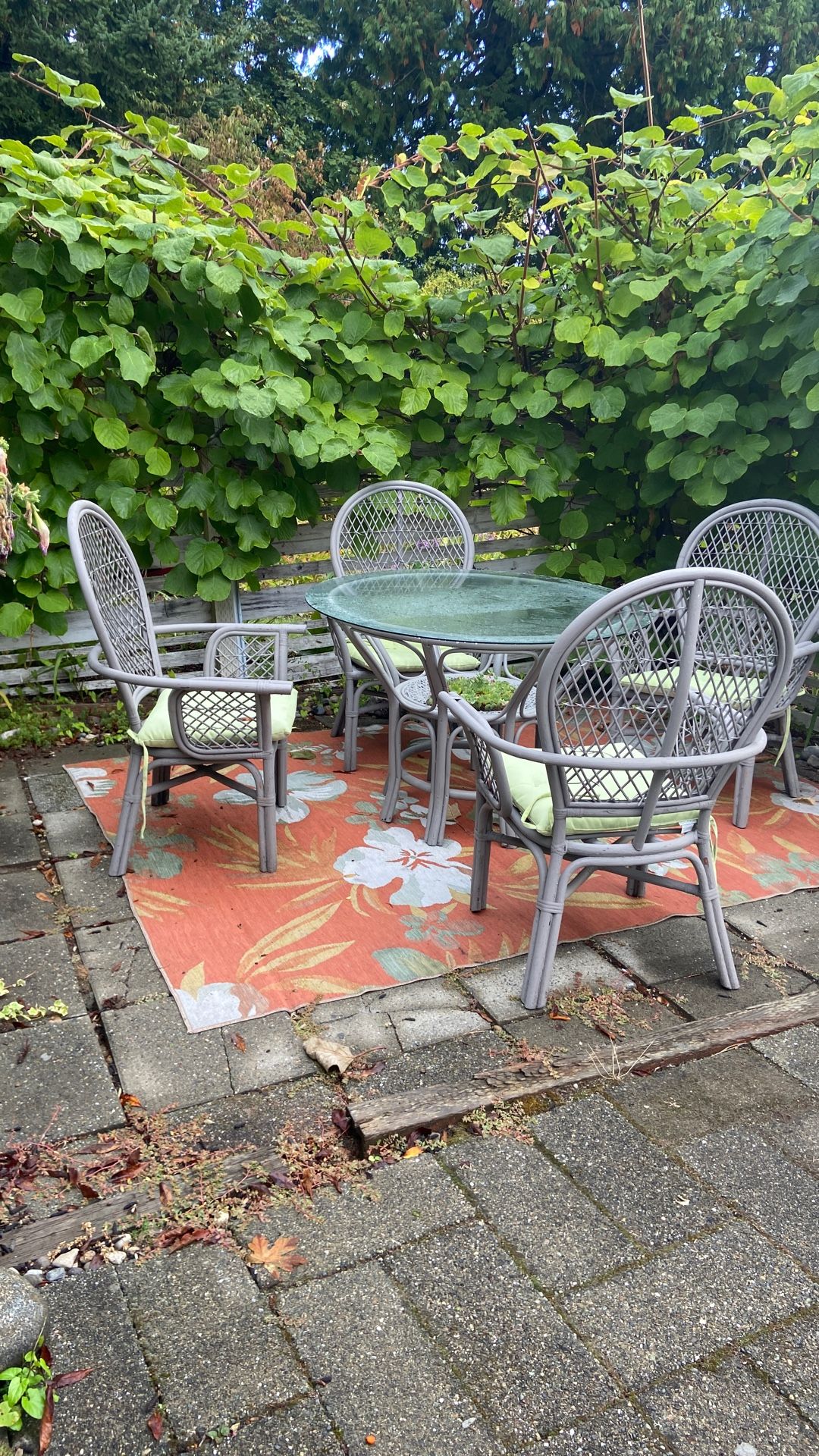 Rattan Table And Chairs