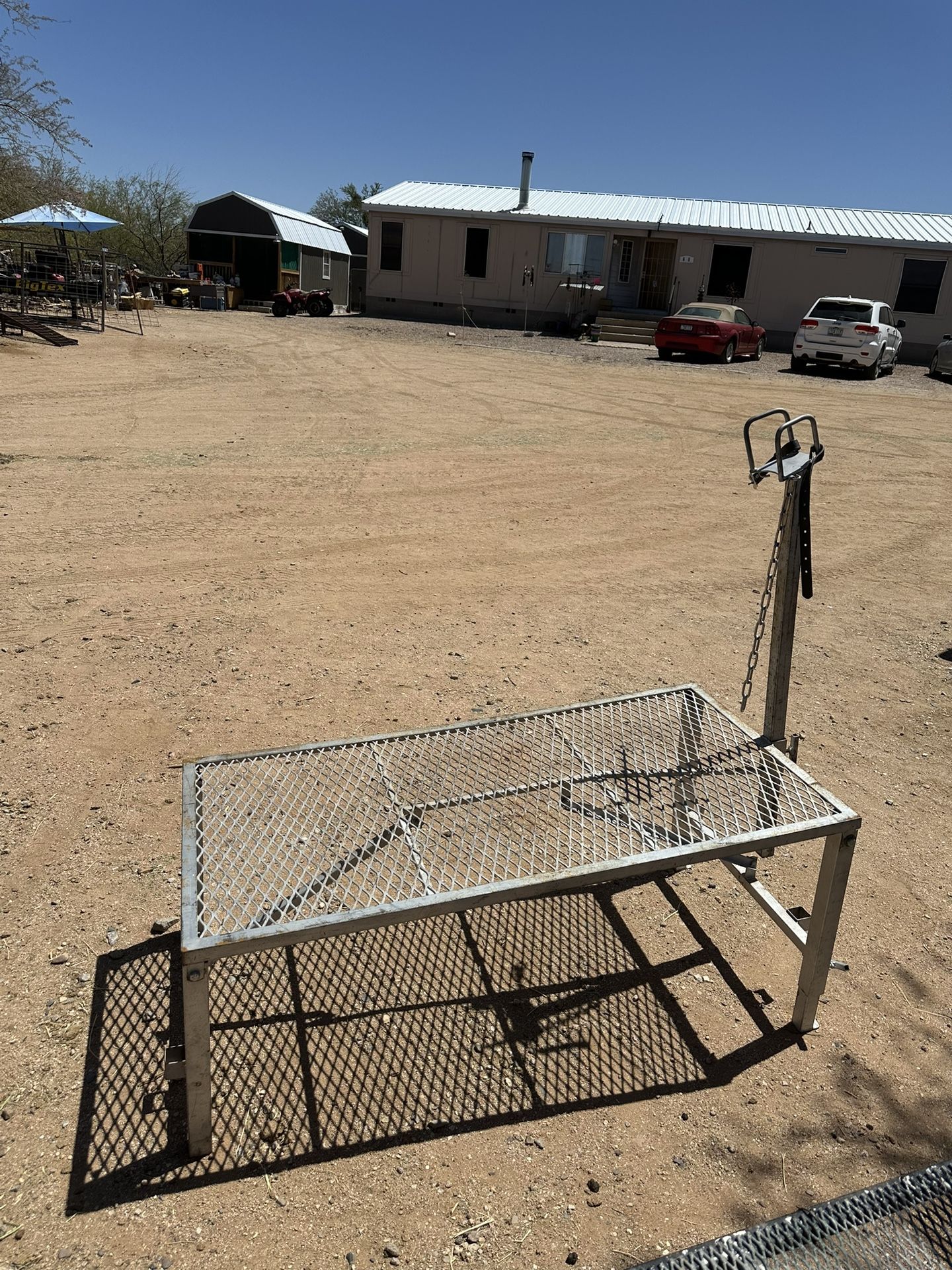 Lamb Stand