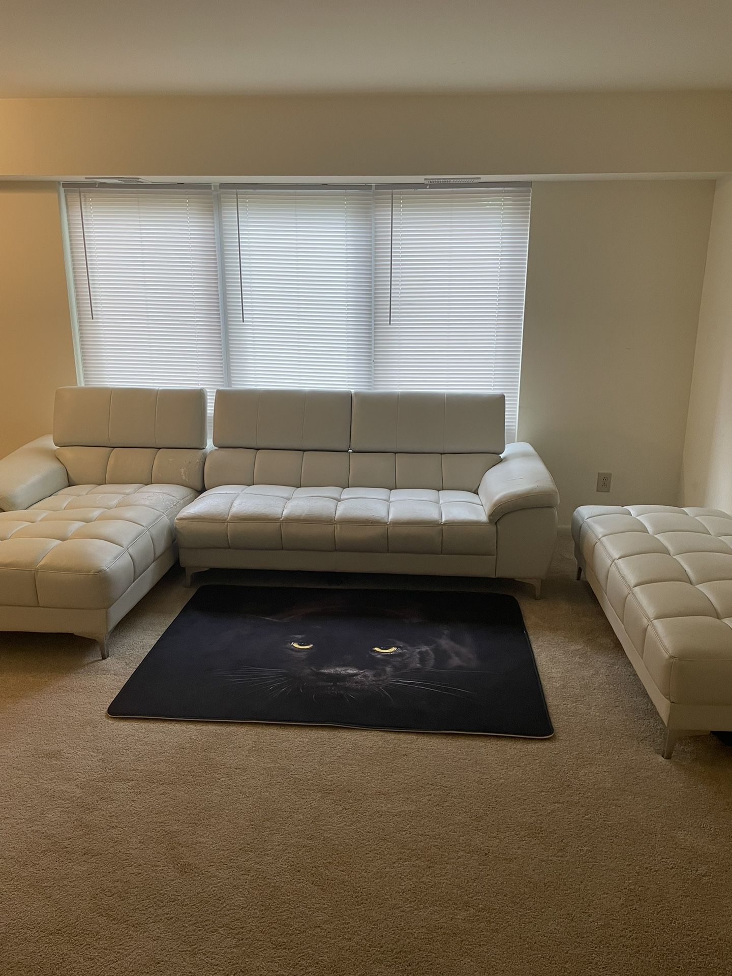 Sectional Sets