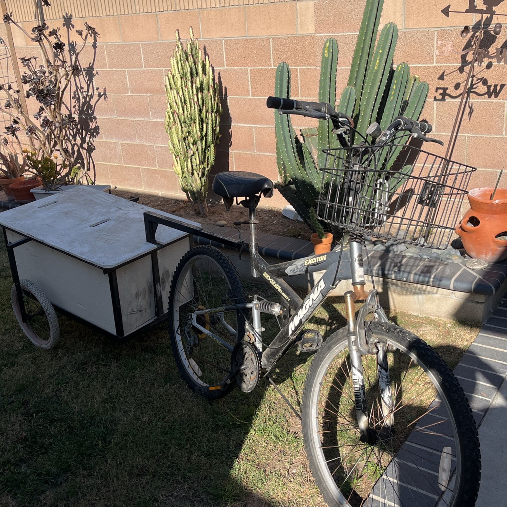 Bike And Trailer