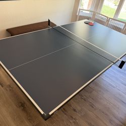 OLHAUSEN Billiard Table / MARTIN KILPATRICK Ping Pong Table Combo!