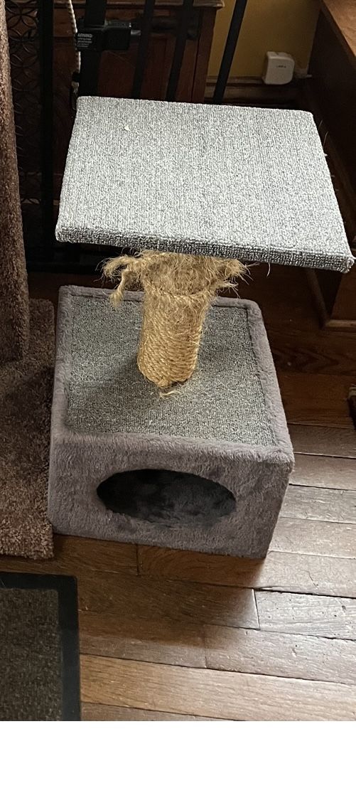 Cat Scratch Post