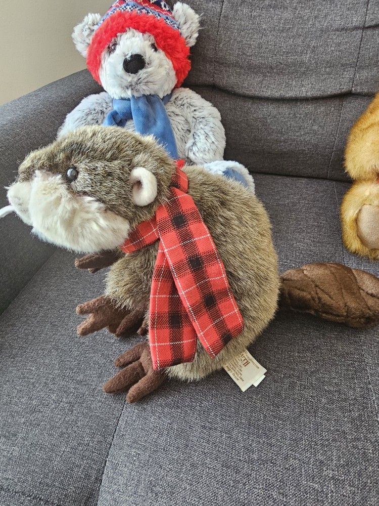 $5.00 - Whimsical "Angry Beaver"! Great Gift Idea! Like New Condition!