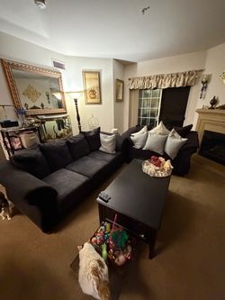 Couches for sale Im moving everything must go