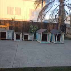 Casas Para Perro 