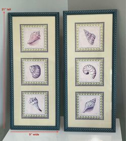 Pair of Freshly Painted & Distressed Framed Kathy Seek Designs “Sea Shell” Prints