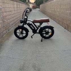 electric Bike 