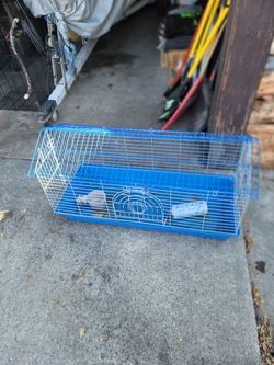 Guinea Pig Cage
