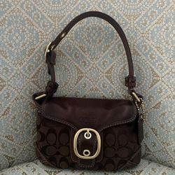 Coach Bag Chocolate Brown